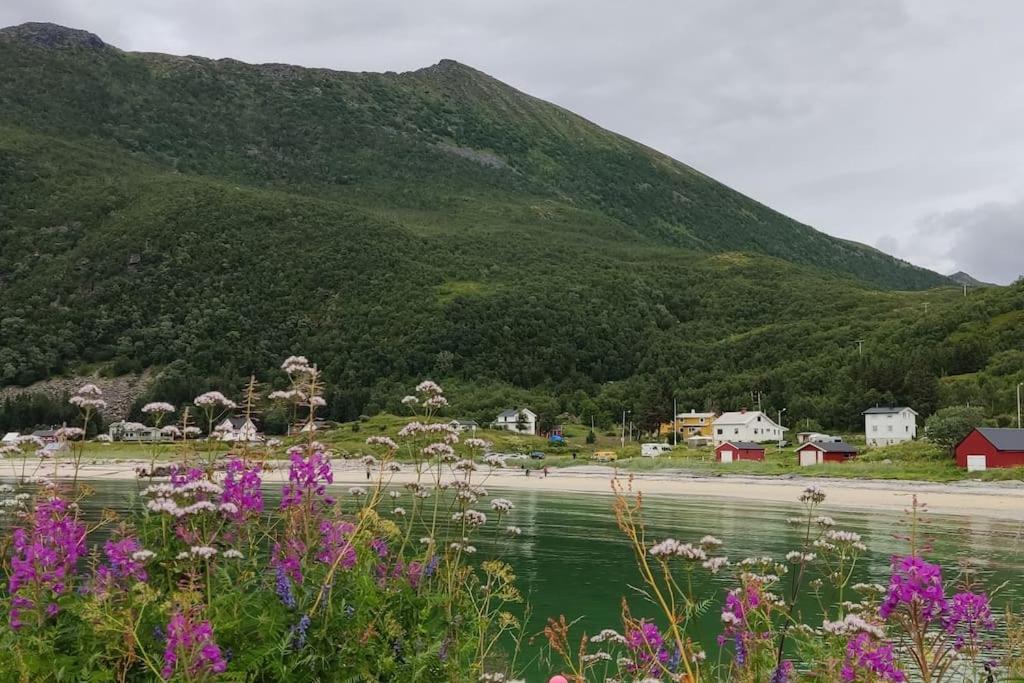 Ferienwohnung Norwegian House Maria Stua Mefjordvær Exterior foto